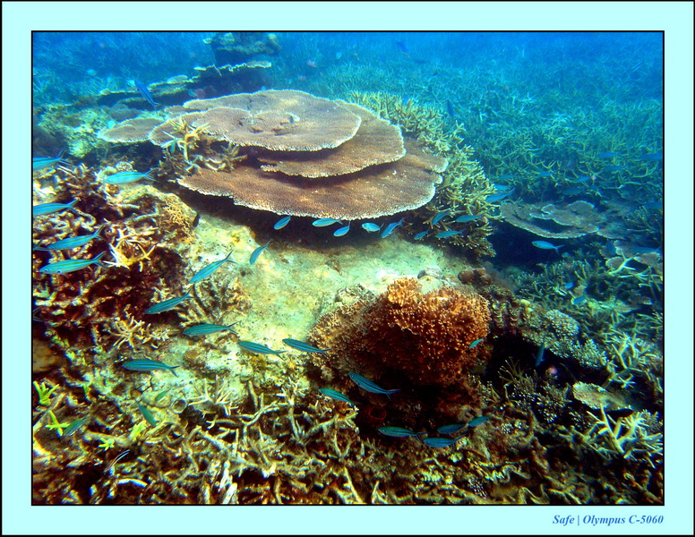 2005 - 08 - Perhentian  - 223.JPG